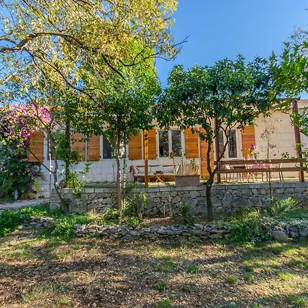 House Oases In Center