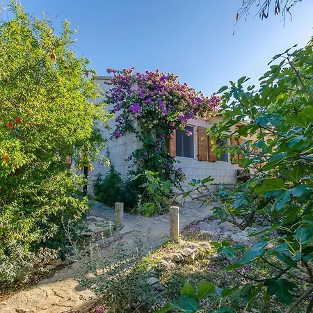 Tatil Evi House Oases In Center