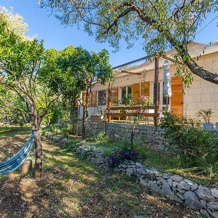 Tatil Evi House Oases In Center *